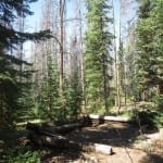 Teller City Ghost Town Cabins