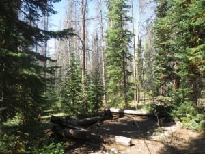 Teller City Ghost Town Cabins