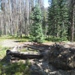 Teller City Ghost Town Cabin