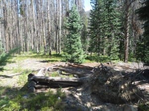 Teller City Ghost Town Cabin