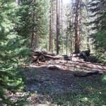 Teller City Ghost Town Cabin