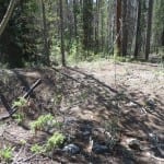 Teller City Ghost Town Cabin Foundation