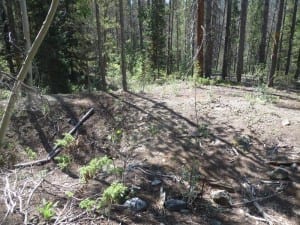 Teller City Ghost Town Cabin Foundation