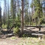 Teller City Ghost Town Fence