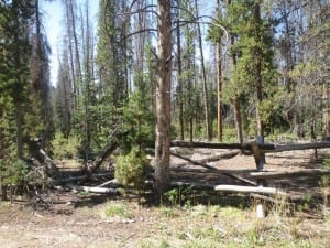 Teller City Ghost Town Fence