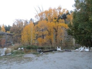 Cottonwood Hot Springs Campground