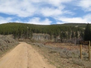 Bowerman Waunita Pass Road