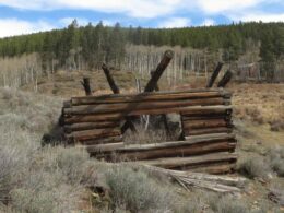 Bowerman Ghost Town