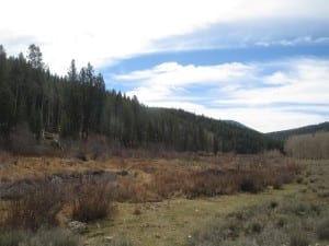 Bowerman Ghost Town