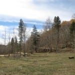 Gunnison National Forest Waunita Pass