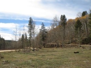 Gunnison National Forest Waunita Pass