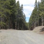 Gunnison National Forest Waunita Pass Summit