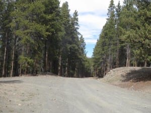 Gunnison National Forest Waunita Pass Summit