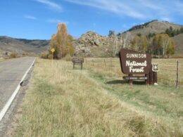 Gunnison National Forest