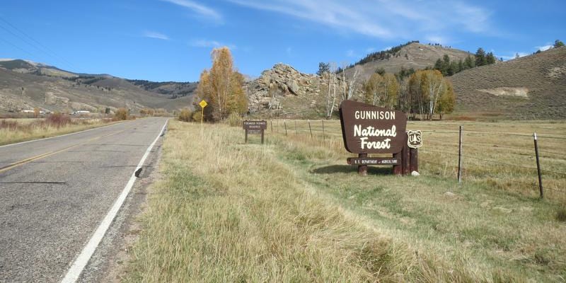 Gunnison National Forest