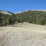 Lake City Ski Hill Main Run