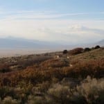 Orient Ghost Town Foundations