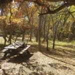 Valley View Hot Springs Tent Campground