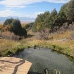 Valley View Hot Springs Meadow Pond