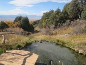 Valley View Hot Springs Meadow Pond