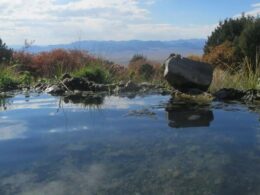 Valley View Hot Springs