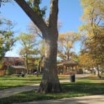 Old Colorado City Bancroft Park