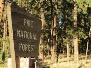 Pike National Forest Deckers