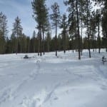 Jefferson County Open Space Flying J Ranch