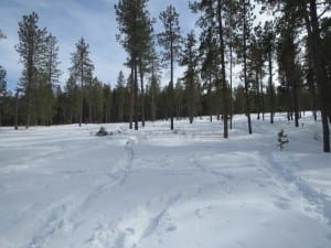 Jefferson County Open Space Flying J Ranch