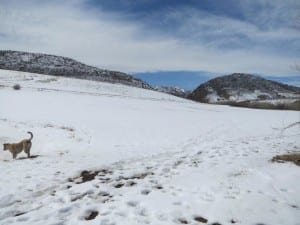 Jefferson County Open Space Hildebrand Ranch Park