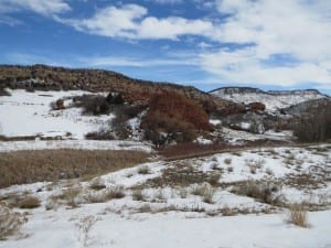 Jefferson County Open Space South Valley