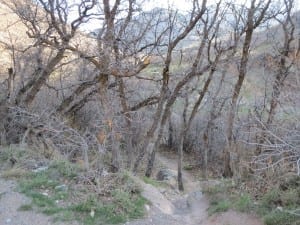 South Canyon Hot Springs Trail