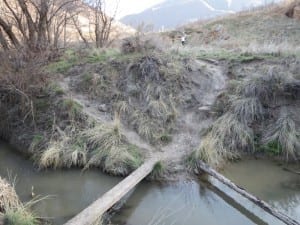 South Canyon Creek Footbridge