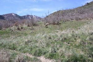 South Canyon Hot Springs Mountains