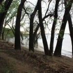 North Sterling State Park Lake Shore