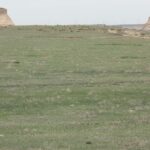 Pawnee National Grassland