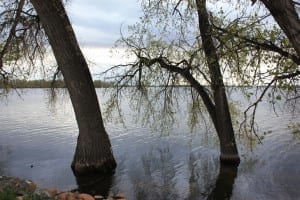 Barr Lake State Park Trees