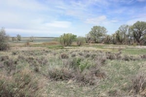 Jackson Lake State Park Prairie Landscape