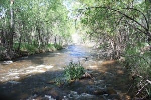 Bear Creek Lake Park Trail