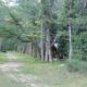 Vicksburg Ghost Town