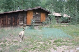 Vicksburg CO Ghost Town