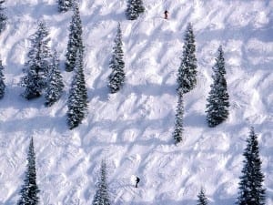 Aspen Mountain Moguls