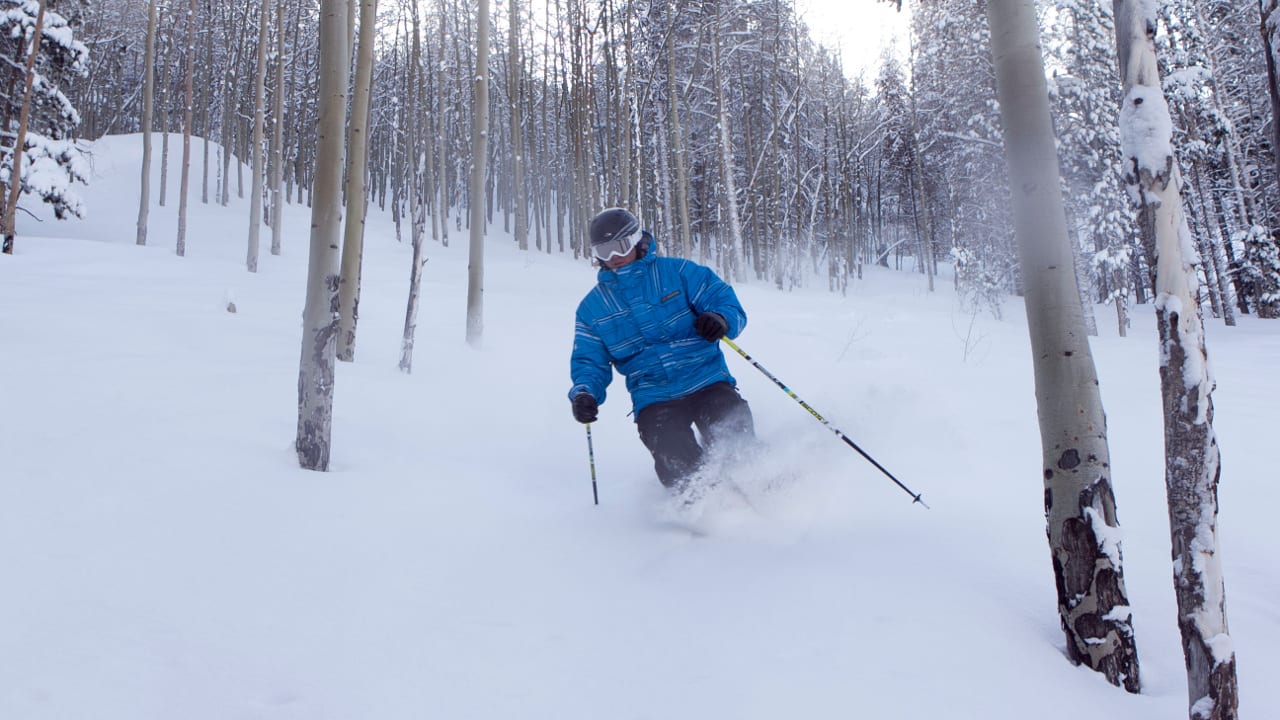 Beaver Creek Tree Skiing Colorado