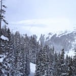 Loveland Ski Resort Trees