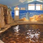 Orvis Hot Springs Indoor Pool