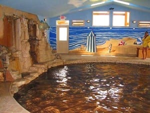 Orvis Hot Springs Indoor Pool