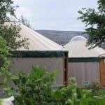 Orvis Hot Springs Yurts