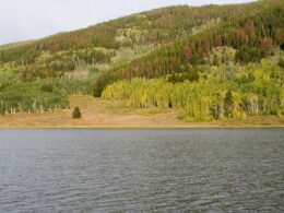 Pearl Lake State Park