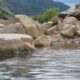 Penny Hot Springs