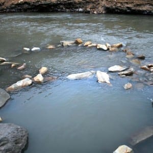 Penny Hot Springs Pools